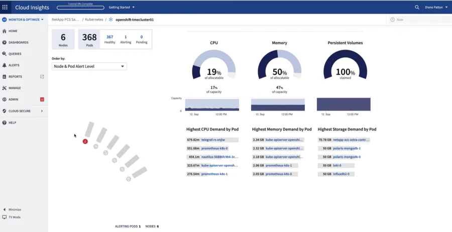 Cloud Insights Kubernetes cluster overview with node, pod and resource gauges